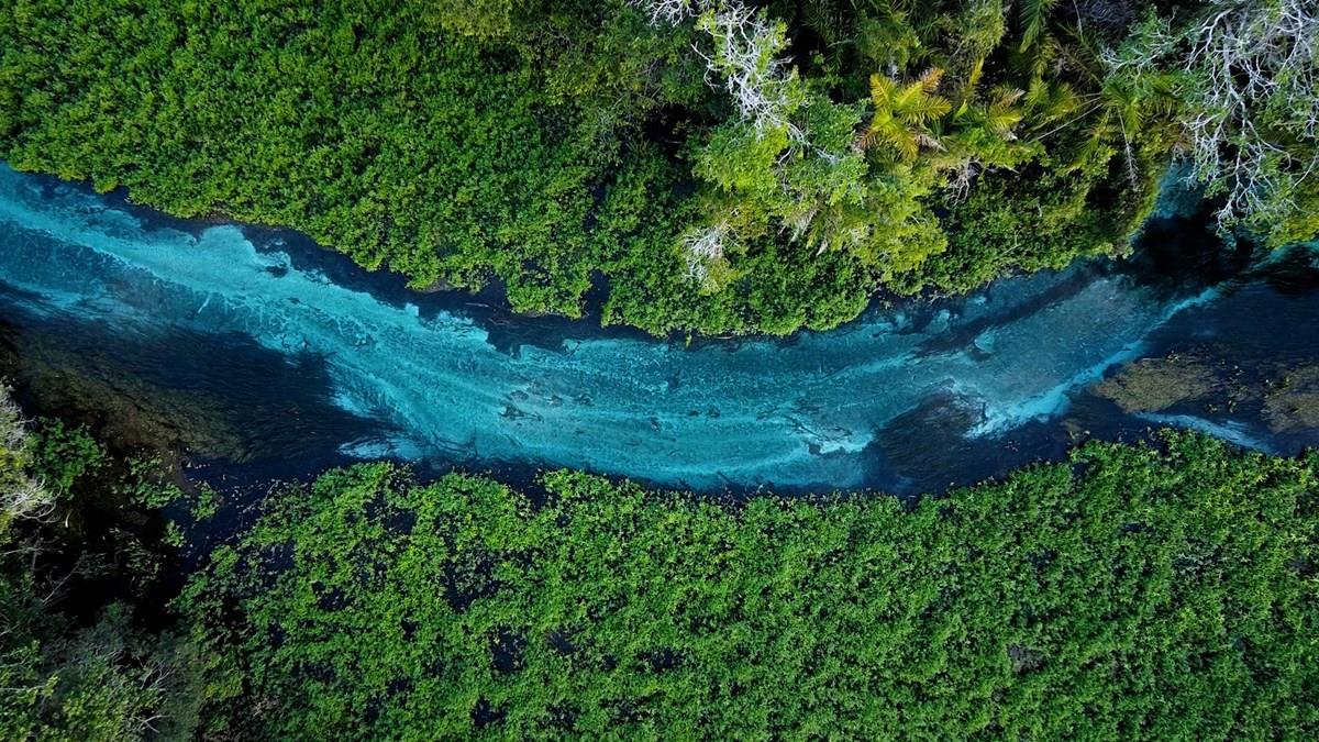 Une série documentaire montre le potentiel de MS Tourism