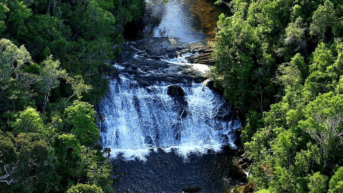 Signature de la concession du parc Serra do Conduru