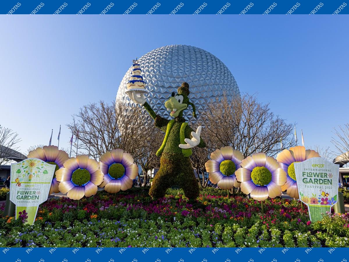 EPCOT® International Flower & Garden Festival : Disney Springs Resort Area  Hotels