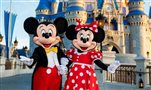 Operadoras de Turismo seletas podem ajudar com reservas de pacotes do Walt Disney World Resort, incluindo Planos de Refeições, transporte e muito mais.