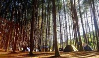 Em barracas: 5 cenários perfeitos para acampar no Brasil