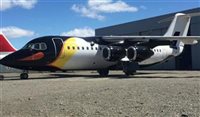 Aérea transforma avião em pinguim por voos à Antártida