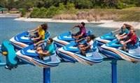 Sea World lança novos ingressos para os parques na Flórida