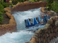 Infinity Falls: tudo sobre a nova atração do Sea World Orlando