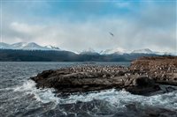 Viaje pela imensidão cativante da Patagônia Argentina