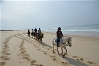 Fam da Diversa deixa Alentejo e visita região de Troia