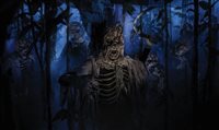 Parques Universal não terão Halloween Horror Nights este ano
