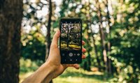 As 20 florestas mais postadas no Instagram; ranking