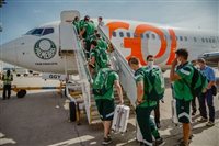 Gol personaliza e freta aeronaves para Santos e Palmeiras