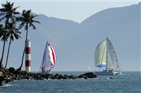 Ilhabela Bird Week 2022 tem início na próxima semana