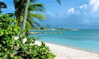 Aruba bate recorde e tem taxa de recuperação de 98% em 2022