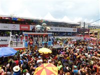 Carnaval em casa: dicas para curtir na sua cidade e sem gastar muito