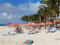 Royal Caribbean mantém negociações por aprovação do Perfect Day Mexico