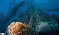 Novotel, da Accor, anuncia parceria para proteção do oceano