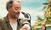 Pinguins do Oceanic Aquarium (SC) participam de filme internacional