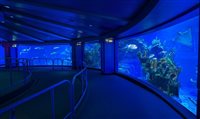 Disney vai retirar golfinhos da atração The Seas With Nemo, no Epcot