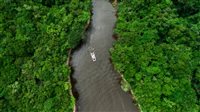 Grand Amazon Expedition celebra 20 anos navegando pelas águas majestosas da Amazônia