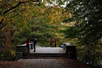 Muito além do Central Park: conheça outros quatro parques em Nova York