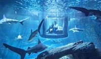 Paris terá quarto em baixo d’água cercado por tubarões