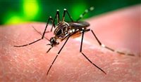 Zika: OMS recomenda que grávidas evitem o Rio 
