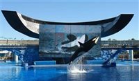 Sea World encerra "saltos, beijos e danças" de orcas