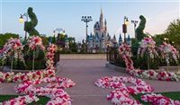 Castelo da Cinderella se torna cenário de casamentos