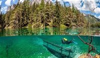 Parque natural na Áustria fica submerso na primavera