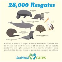 Sea World já resgatou mais de 28 mil animais