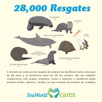 Sea World já resgatou mais de 28 mil animais Sea World já resgatou mais de 28 mil animais