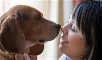 Tivoli Mofarrej São Paulo lança novos produtos para pets Tivoli Mofarrej São Paulo lança novos produtos para pets