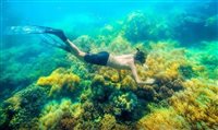 Caribe é região mais dependente do Turismo, diz estudo Caribe é região mais dependente do Turismo, diz estudo