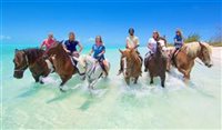 Passeie de cavalo no mar caribenho das Ilhas Virgens
