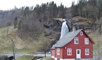 Noruega é primeiro país a proibir o corte de árvores
