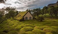 Telhado com árvores é ponto turístico na Escandinávia