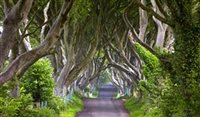 Game of Thrones: visite oito cenários na Irlanda do Norte