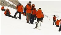 Quatro dicas para acampar e se divertir na Antártida
