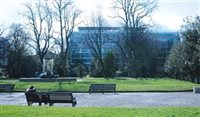 Tecnologia na Irlanda aumenta busca por estrangeiros Tecnologia na Irlanda aumenta busca por estrangeiros