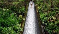 Vídeo: conheça o toboágua natural escondido no Havaí