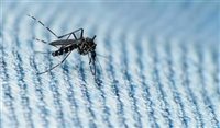 Zika: Água parada pode causar prisão na Tailândia Zika: Água parada pode causar prisão na Tailândia