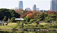 Agências e OTAs crescem no Japão; veja as tendências Agências e OTAs crescem no Japão; veja as tendências
