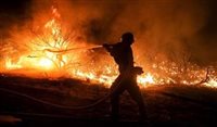 Incêndio deixa Califórnia em estado de emergência