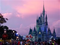 Disney começa primeira semana com 100 mil licenciados