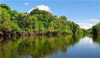 Operadora cria nova rota de barco na Amazônia; confira