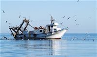 Egito prende acusados por naufrágio no Mediterrâneo