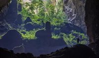Caverna descoberta no Vietnã tem sua própria floresta