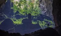 Caverna descoberta no Vietnã tem sua própria floresta Caverna descoberta no Vietnã tem sua própria floresta