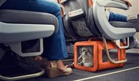 Gol libera transporte de pets em voos internacionais