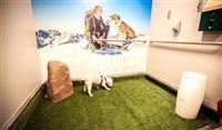Aeroportos dos EUA criam “áreas de alívio” para animais Aeroportos dos EUA criam “áreas de alívio” para animais