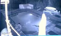 Crocodilo ataca turistas em piscina de hotel africano; veja