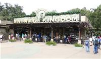 Animal Kingdom comemora 20 anos; confira programação Animal Kingdom comemora 20 anos; confira programação
